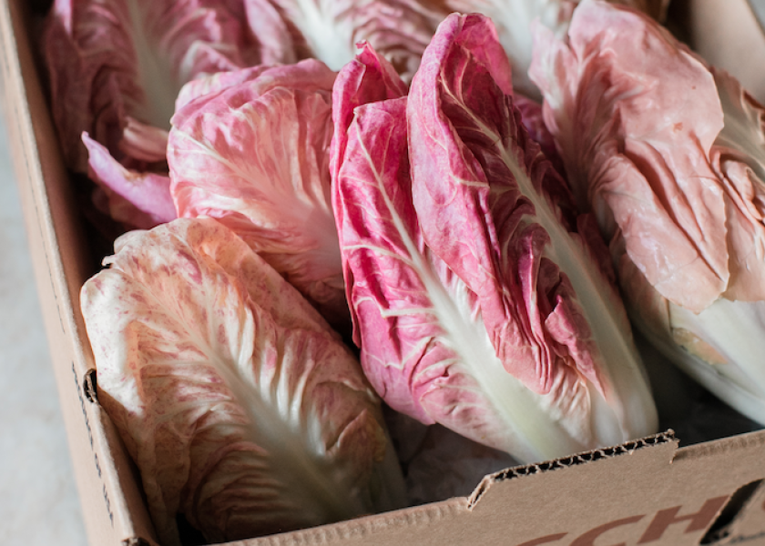 Pink lettuce arrives for Valentine’s Day The Packer